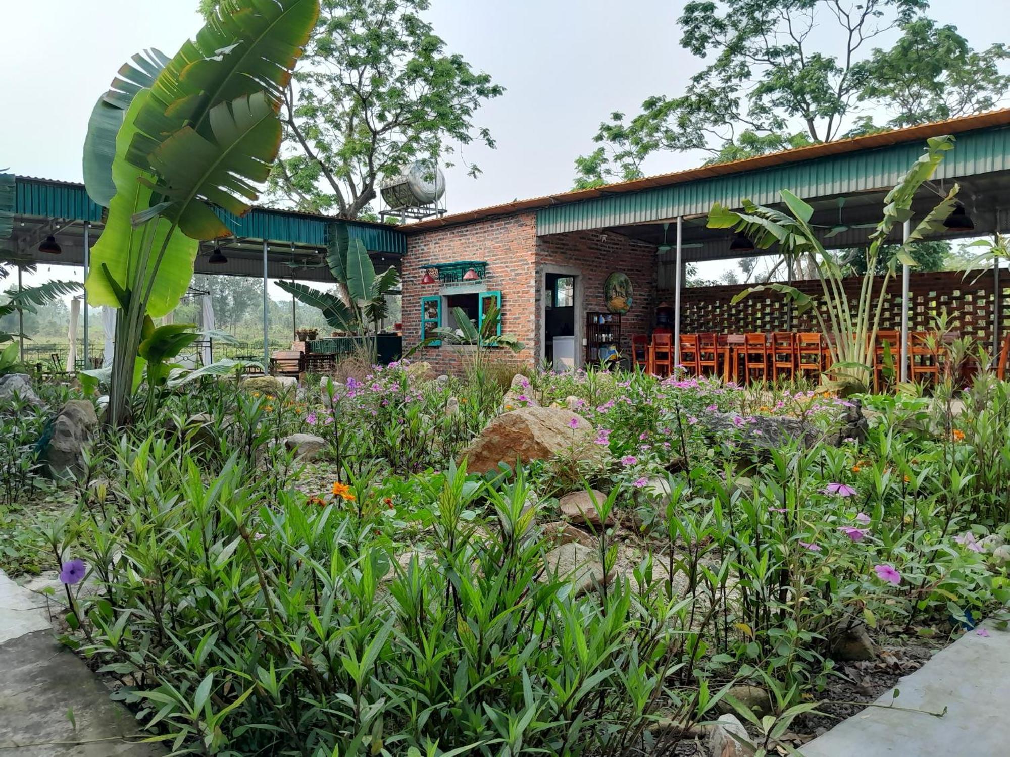 Mina Cafe & Stay Куан Лан Экстерьер фото